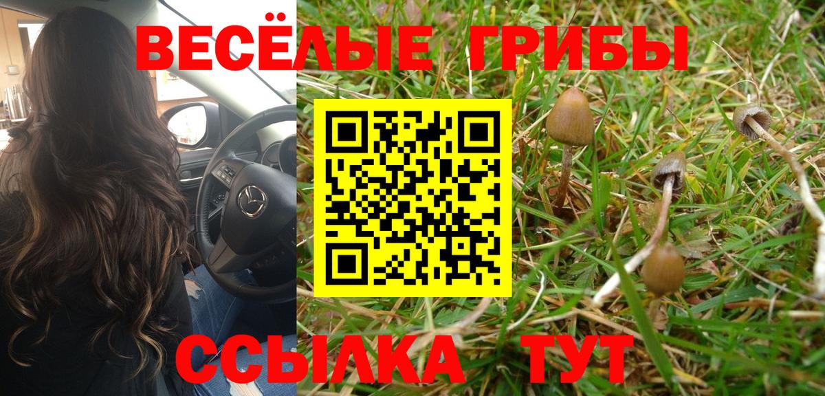 Кунгур  Галлюциногенные грибы MAGIC MUSHROOMS  Вход с VPN 